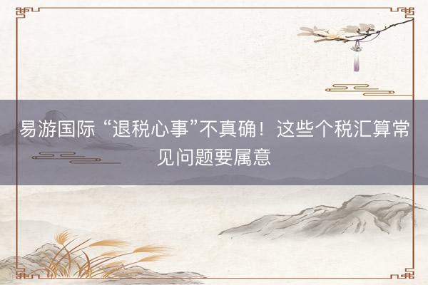 易游国际 “退税心事”不真确！这些个税汇算常见问题要属意