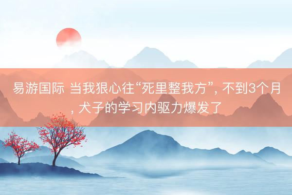 易游国际 当我狠心往“死里整我方”, 不到3个月, 犬子的学习内驱力爆发了